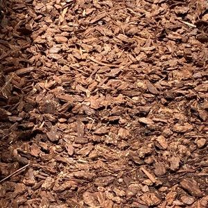 Meet your Posher, Giovanni